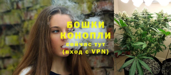 стаф Кулебаки
