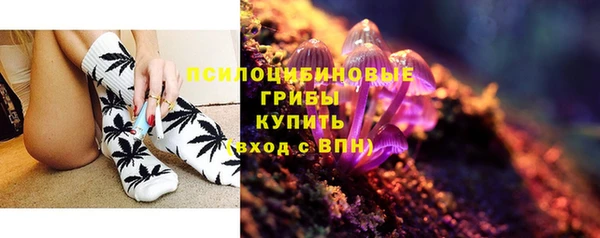 хмурый Козловка